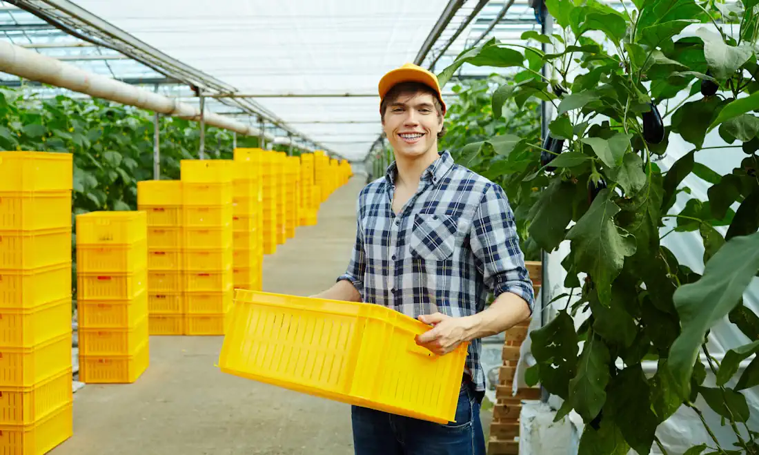 worker with a box